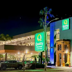 Hotel Quality Inn&suites Angeles Airport - Lax Inglewood